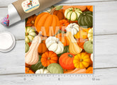 Fall Pumpkin Patch Pattern Adhesive Vinyl 1550