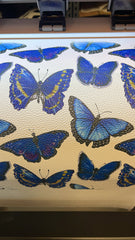 Custom Printed Pebble Leather