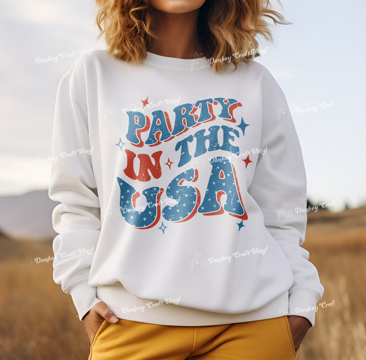 Patriotic 4th July Party DTF Transfer for T-shirts, Hoodies, Heat Transfer, Ready for Press Heat Press Transfers DTF301